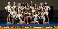 4x8 Cheer Banner