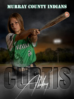 Softball Banners