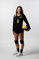 Volleyball Cutouts