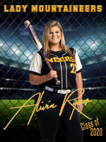 Softball Banners