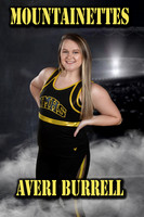 Cheer and Dance Banners