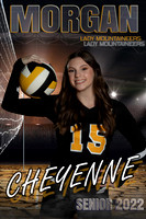 Banners2