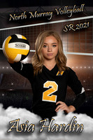 North Murray Volleyball Banners 2020